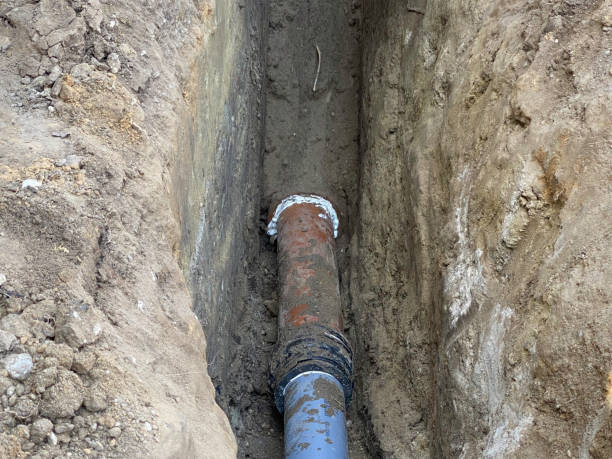 Best Professional water damage repair  in Schuylkill Haven, PA