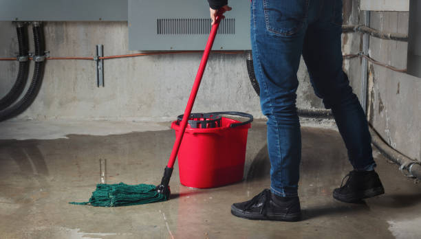 Best Water damage restoration near me  in Schuylkill Haven, PA
