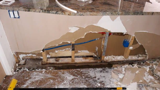Best Sewage cleanup and water damage restoration  in Schuylkill Haven, PA