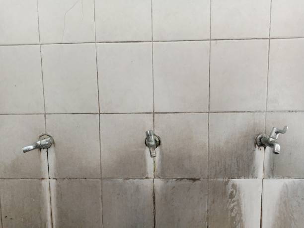 Best Water damage repair service  in Schuylkill Haven, PA