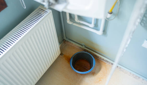 Best Flood restoration services  in Schuylkill Haven, PA