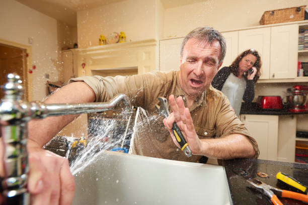 Best Water damage restoration near me  in Schuylkill Haven, PA